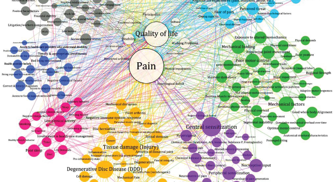 Modèle biopsychosocial de la douleur